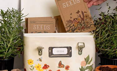 WildflowerBotanicalsSeedStorageBox.png